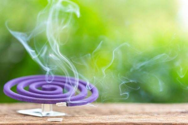 Mosquito Repellant Coils: Do They Work?